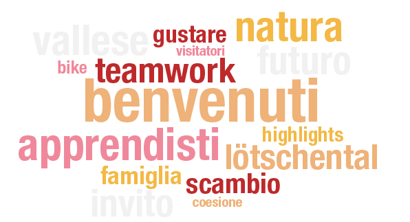 martifuture camp 2019 martifuture camp 2019